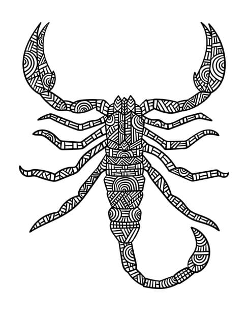 Picture Free Scorpion Mandala Coloring Page Mandalas
