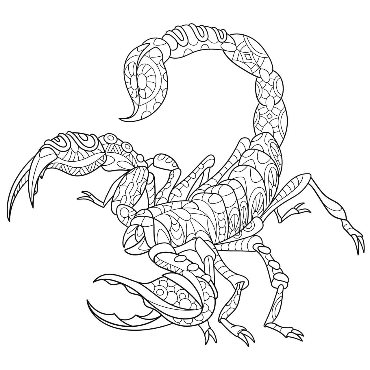 Picture Scorpion Mandala Coloring Page Mandalas