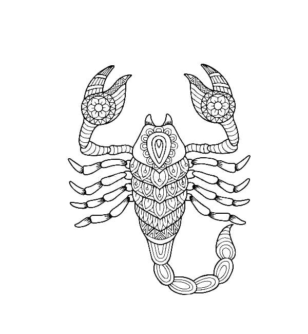Print Scorpion Mandala Free Coloring Page Mandalas