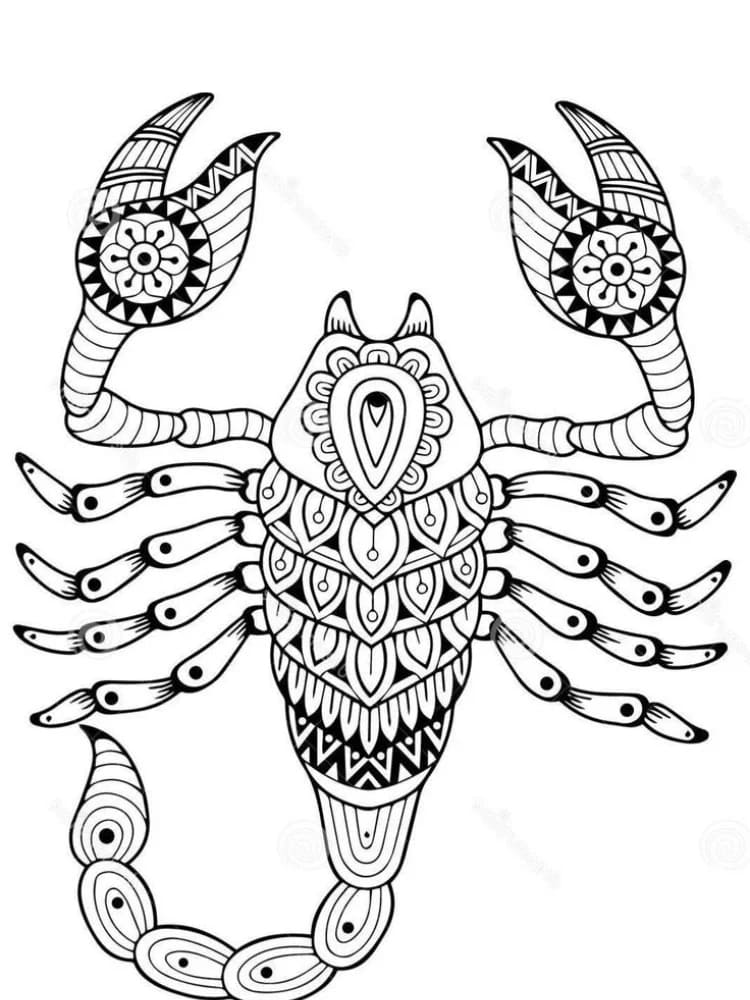Printable Free Scorpion Mandala Coloring Page Mandalas