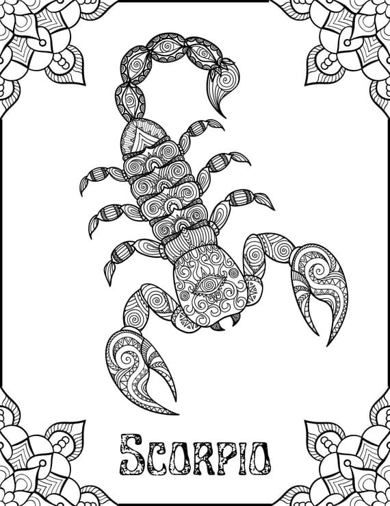 Printable Scorpion Mandala Free Coloring Page Mandalas
