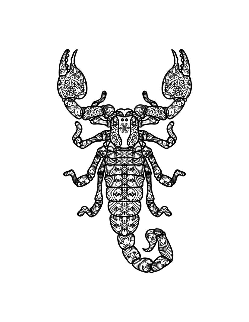 Scorpion Mandala Printable Coloring Page Mandalas