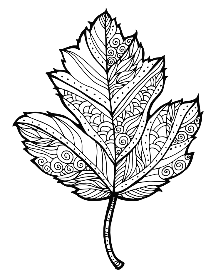 Special Leaves Mandala Coloring Page Mandalas Special Leaves Mandala Coloring Page Mandalas