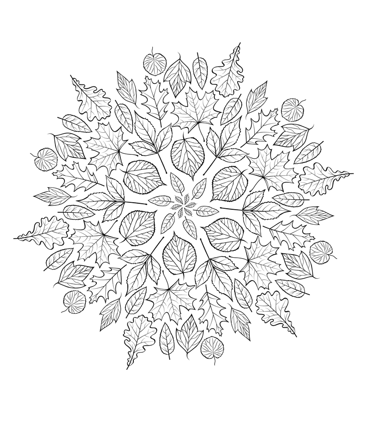 Style Leaves Mandala Coloring Page Mandalas Style Leaves Mandala Coloring Page Mandalas