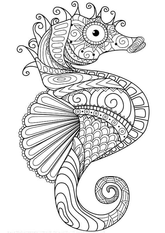 Adorable Seahorse Mandala Coloring Page Mandalas