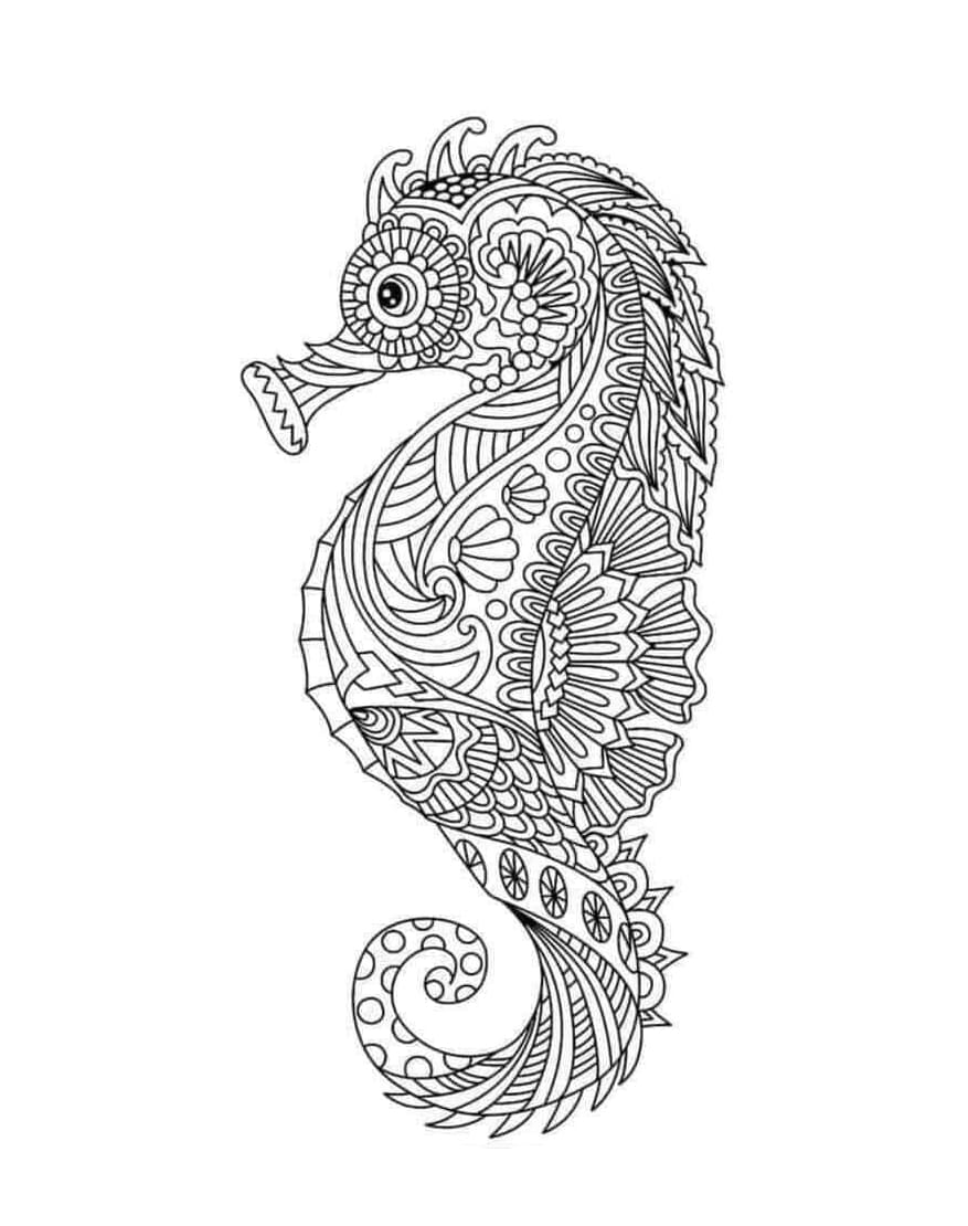 Amazing Seahorse Mandala Coloring Page Mandalas