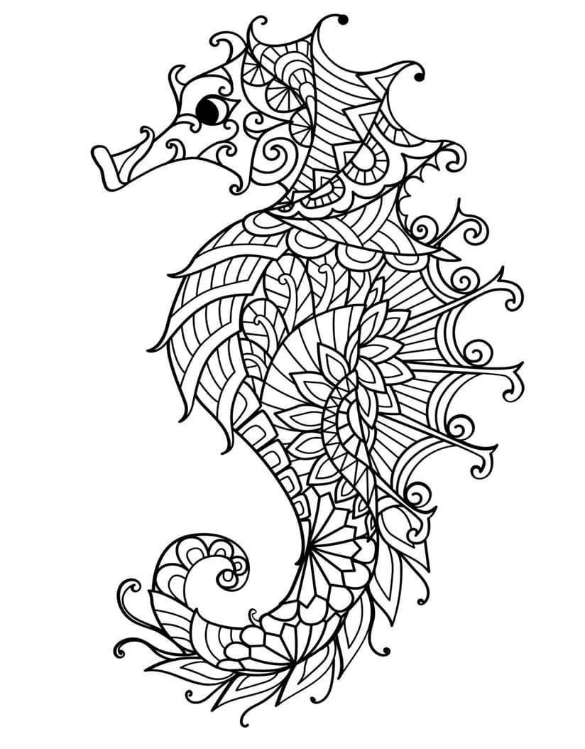 Animal Seahorse Mandala Coloring Page Mandalas