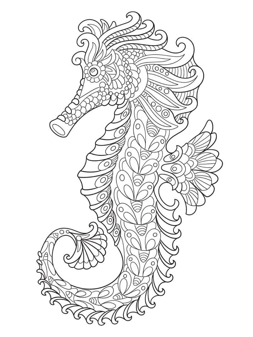 Awesome Seahorse Mandala Coloring Page Mandalas
