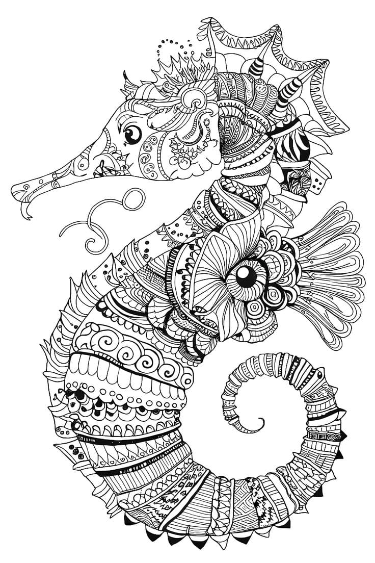 Beautiful Seahorse Mandala Coloring Page Mandalas
