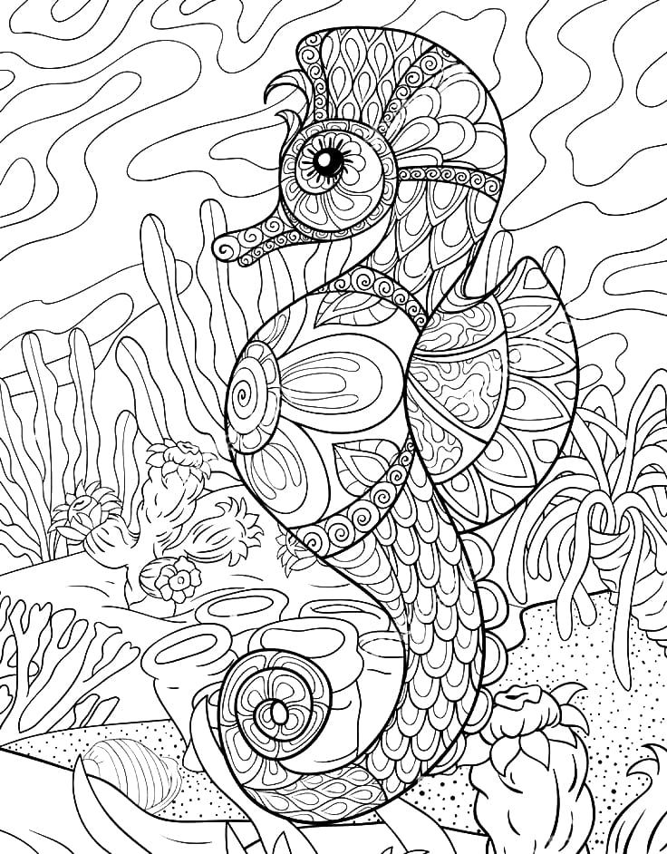 Drawing Seahorse Mandala Coloring Page Mandalas