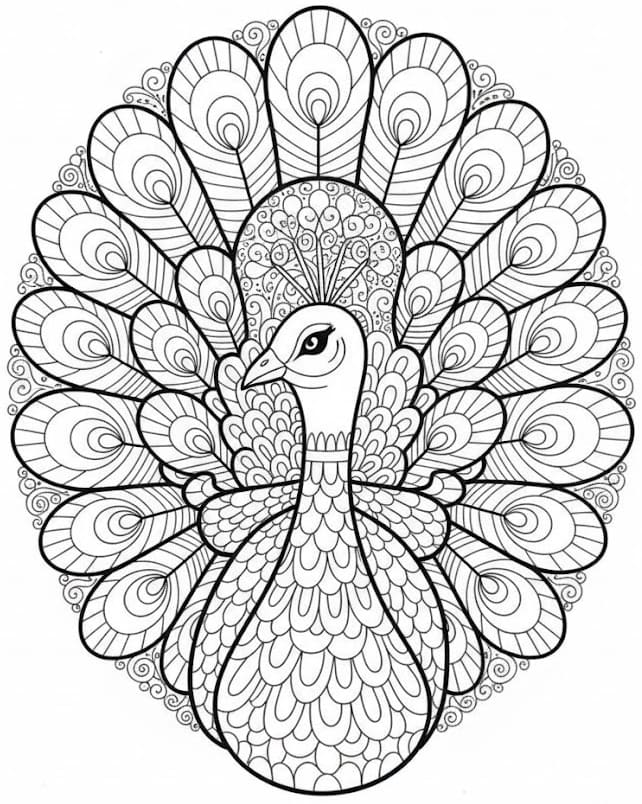 Elegant Peacock Feather Mandala Coloring Page Mandalas