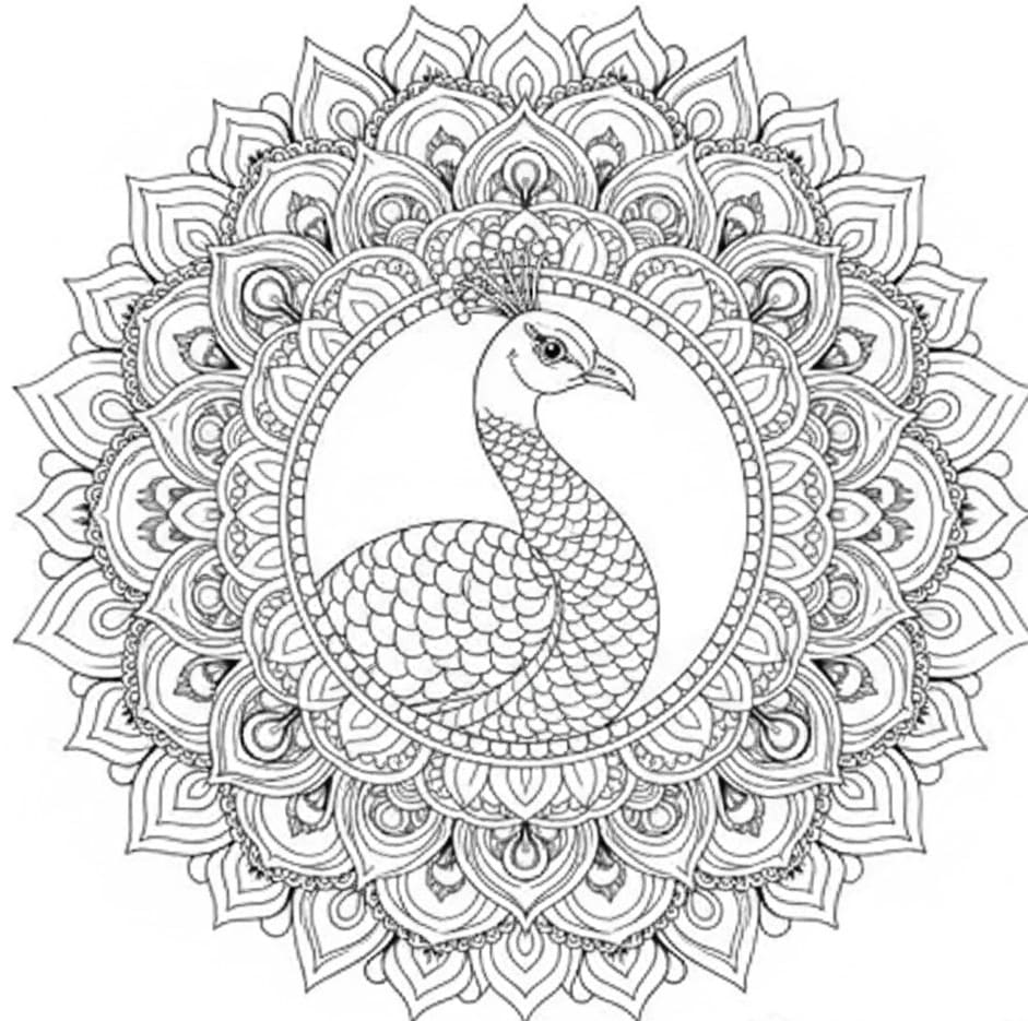 Elegant Peacock Outline Mandala Coloring Page Mandalas