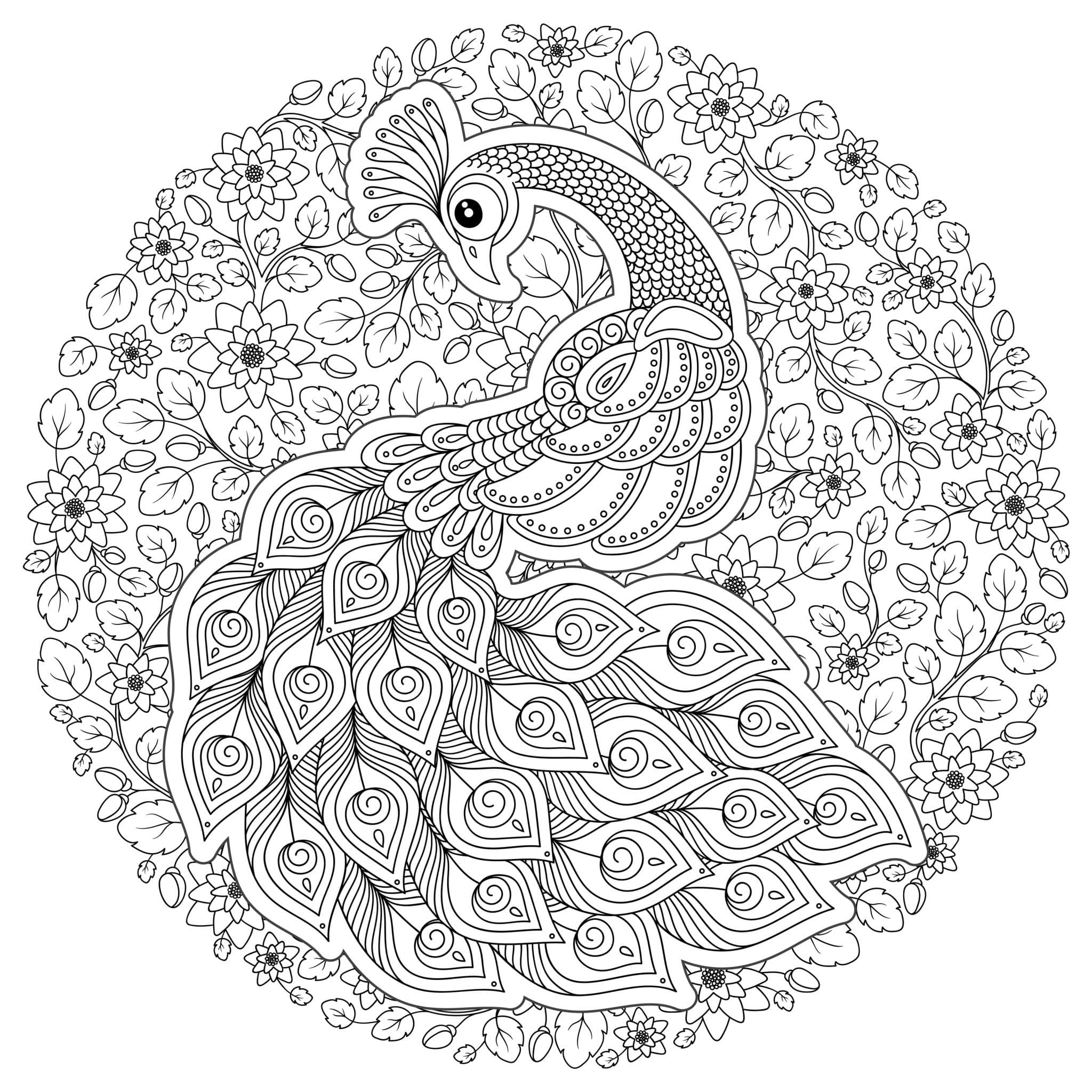 Elegant Peacock with Floral Mandala Coloring Page Mandalas