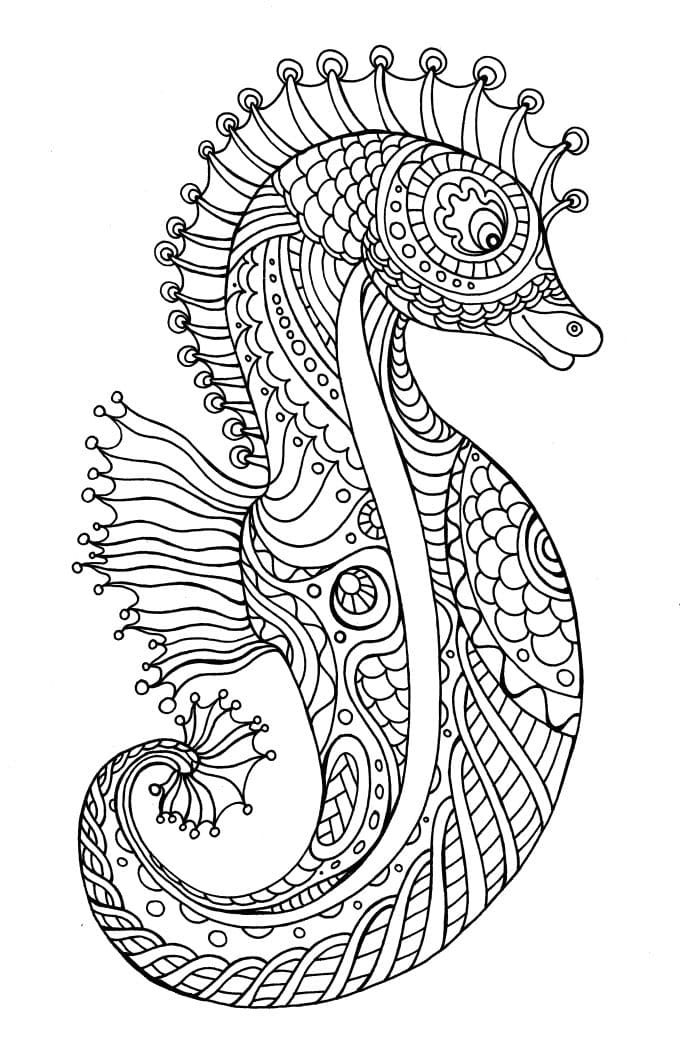 Free Picture Seahorse Mandala Coloring Page Mandalas