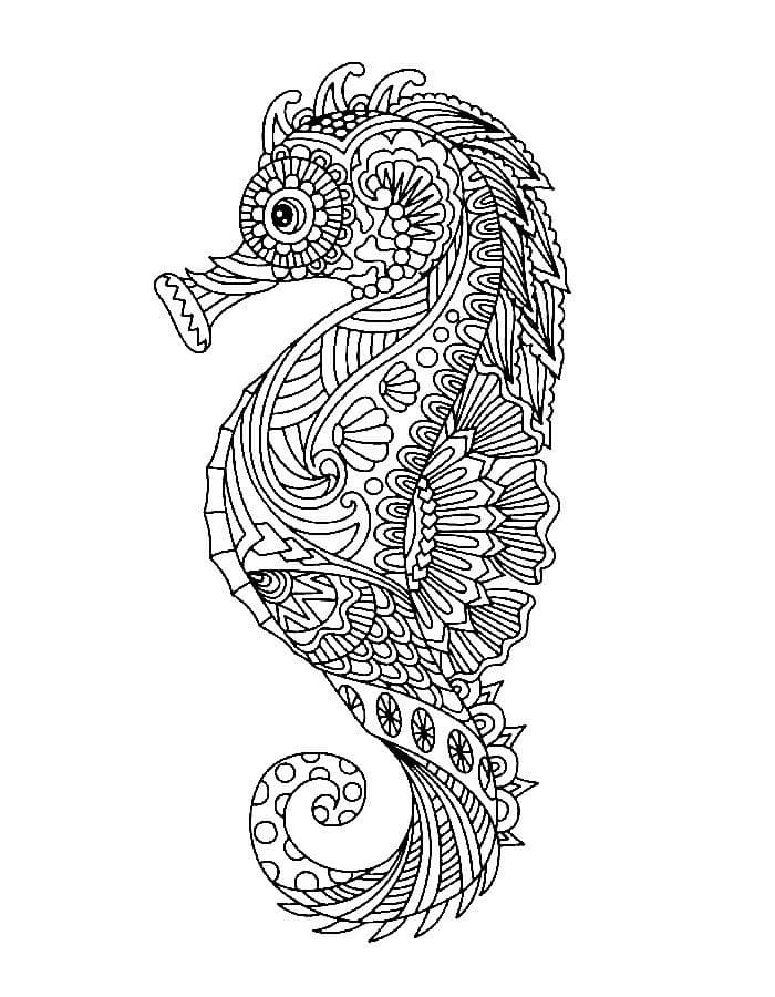 Free Seahorse Mandala Coloring Page Mandalas