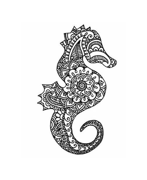 Images Seahorse Mandala Coloring Page Mandalas