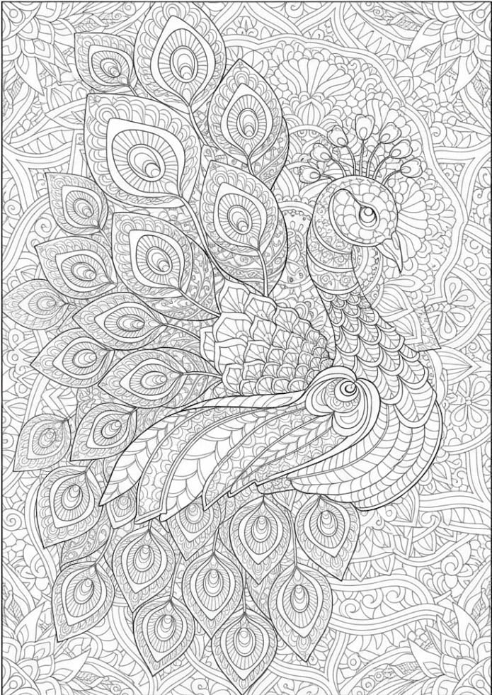 Ornate Peacock Mandala Coloring Page Mandalas
