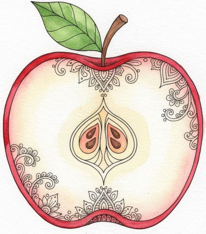 Patterned Apple Slice Zen Mandala Template Mandalas