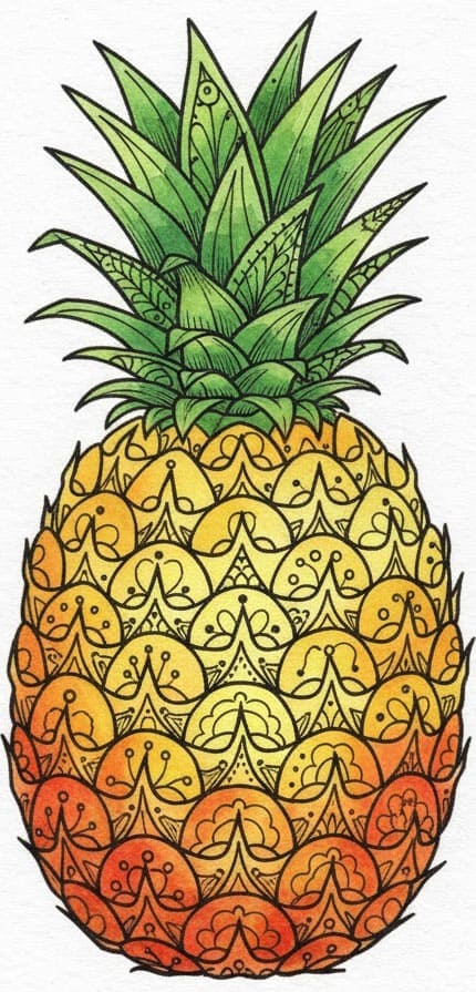 Patterned Pineapple Zen Mandala Template Mandalas