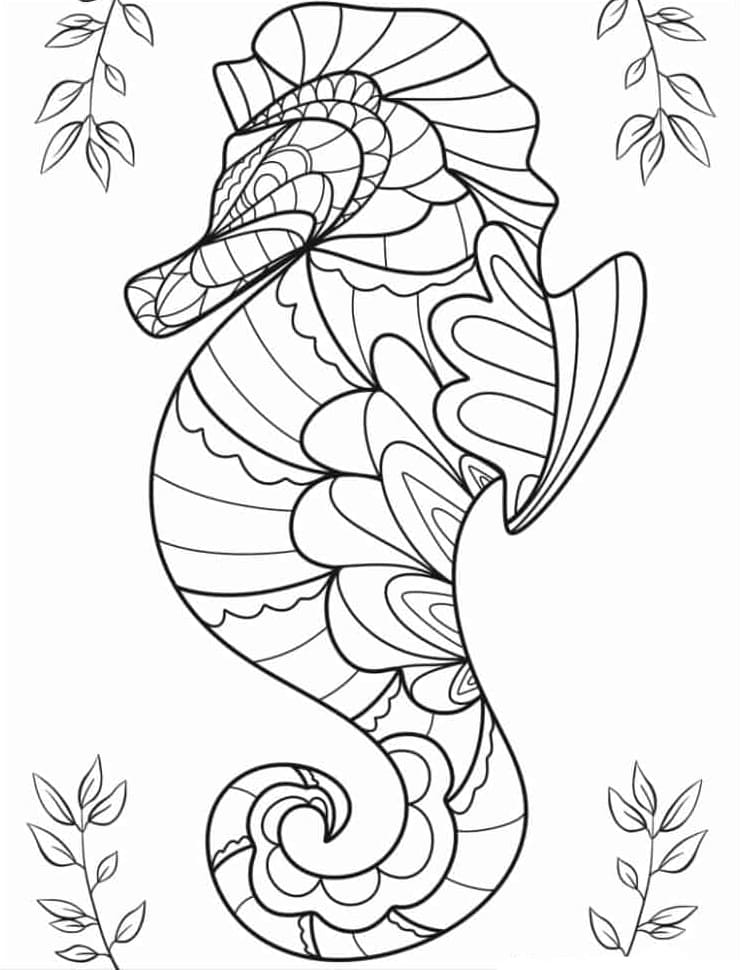 Seahorse Mandala For Kids Coloring Page Mandalas