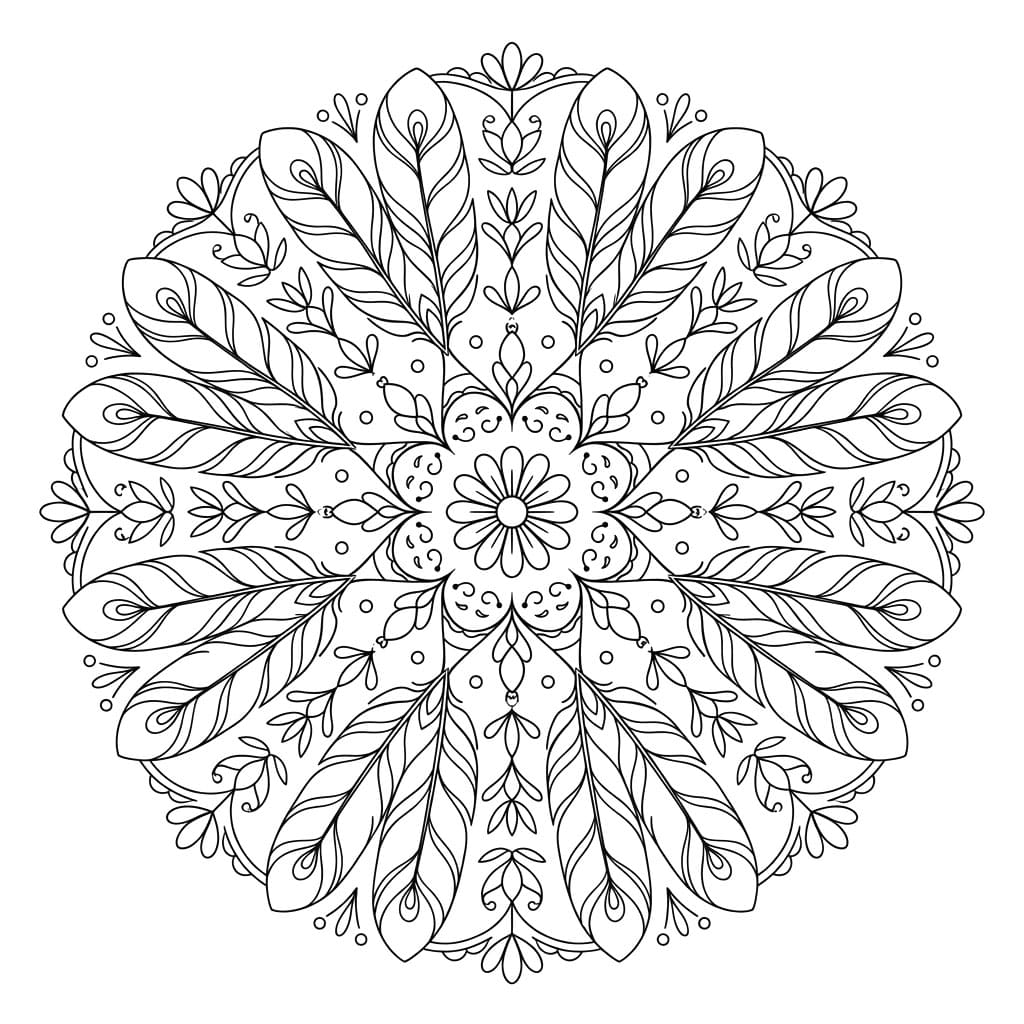 Feather Grace Symmetry Mandala Template Mandalas